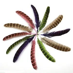 Disposition radiale de plumes de faisan colorées à rayures naturelles pour bijoux DIY