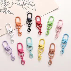 Fermoirs mousquetons en alliage mat coloré pour crochets de sacs DIY et porte-clés variés