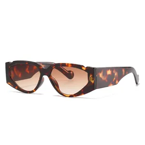 Occhiali da Sole Geometrici Cat Eye Trendy a Montatura Piccola Montatura PC Lenti HD Protezione UV400 Occhiali da Moda Retro per Viaggi Festa