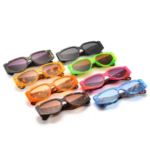 Collezione di occhiali da sole geometrici di tendenza in colori vivaci e tartarugati