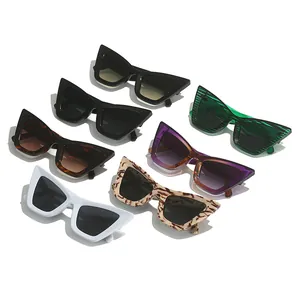 Ensemble de lunettes de soleil œil de chat élégantes pour hommes et femmes en divers coloris