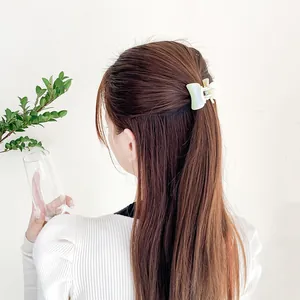 Pince à cheveux papillon vert clair et crème sur un modèle pour coiffure mi-haute