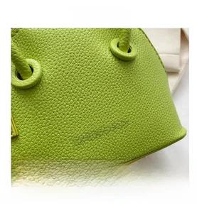 Macro detail of green lychee leather mini shell bag featuring fashion logo and fine stitching