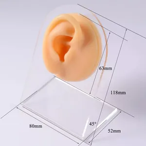 Detailed view of soft silicone ear model on transparent acrylic display stand