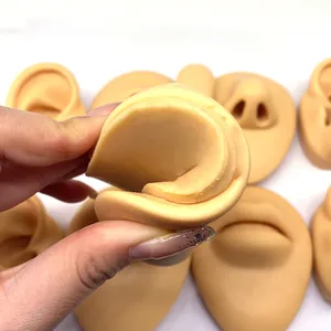 Detailed close-up showing high elasticity of soft silicone anatomical practice models