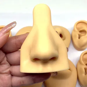 Detail of soft silicone nose and ear models for medical teaching and piercing practice
