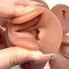 Flexible silicone ear model showing realistic soft texture for medical teaching use