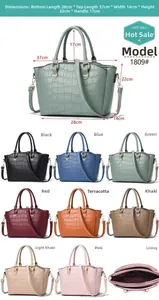 Specifiche dettagliate delle dimensioni e opzioni colore per la borsa shopper