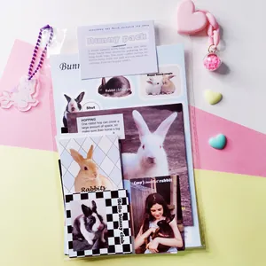Detailed view of Bunny Pack stationery set with realistic rabbit stickers and acrylic charm