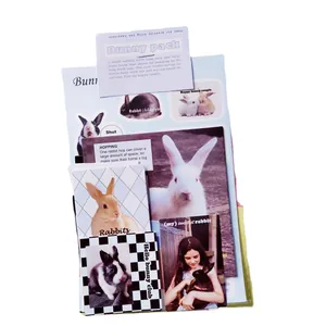 Cute bunny-themed aesthetic sticker pack and DIY scrapbook cards in clear packaging