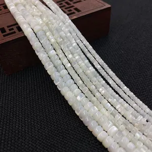 Perline distanziatrici cilindriche in conchiglia naturale per gioielli fai da te bianco