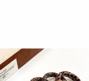 Close-up of two leopard print hair scrunchies with soft velvet texture on white background