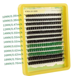 DIY Cluster Wimpernverlängerungen mit grünem Farbverlauf und schwarzem Volumen