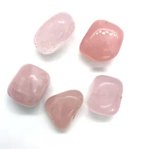 Set di cinque pietre burattate in quarzo rosa naturale lucido su sfondo bianco