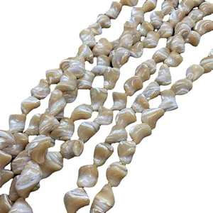 Perline di conchiglia naturale per gioielli fai da te con trama irregolare in madreperla
