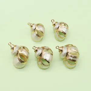 Five pieces of natural shell conch charms with gold plated frames for DIY necklaces