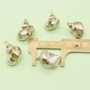 Detailed view of natural shell pendant with gold plating and measurement scale