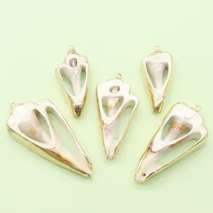 Set of 5 natural shell pendants with gold plated edges and internal spiral structures