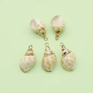 Set van 5 natuurlijke schelphangers met vergulde randen voor doe-het-zelf sieraden maken