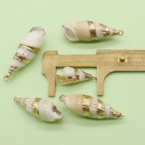 Macro shot of five white conch shell charms with gold plating and 22mm measurement