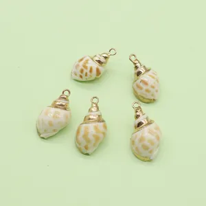 Set van vijf natuurlijke schelphangers met vergulde rand voor DIY sieraden maken