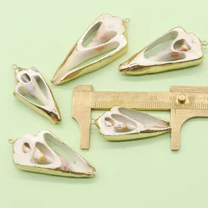 Macro detail of natural shell pendants with gold plated edges and measurement scale