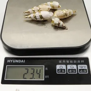 Macro detail of five natural seashell pendants with gold plating on a digital scale