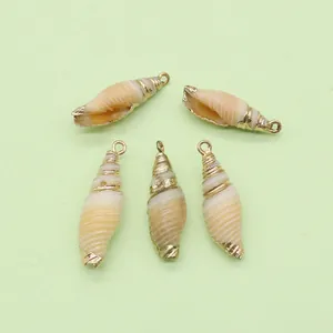 Fünf spiralförmige Naturmuschel-Anhänger mit vergoldetem Rand für DIY-Schmuck