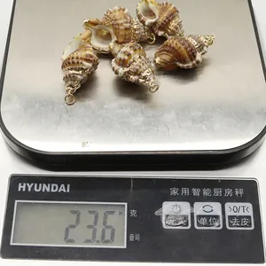 Fünfteiliges Set brauner Muschelanhänger mit einem Gesamtgewicht von 23,6 g auf Waage