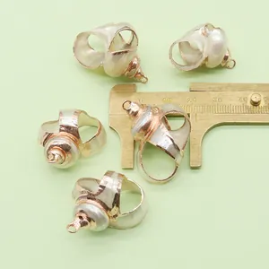 Macro detail of five shell pendants with gold plated edges and measuring caliper