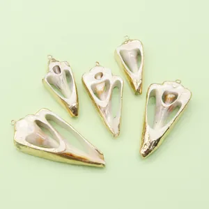 Natural seashell pendants with gold plated edges for DIY jewelry making five pieces set