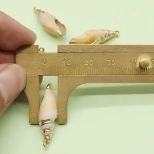 Makroansicht von Naturmuschel-Anhänger mit Vergoldung und Größenmessung von 30 mm Länge