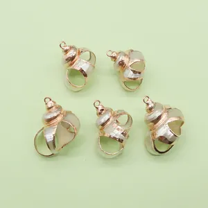 Five piece set of natural shell conch pendants with rose gold plated metal edges