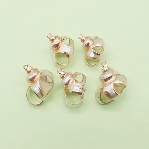 Five pieces of natural conch shell pendants with gold plated edges for DIY jewelry making