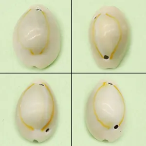 Natural White Cowrie Shell Pendants With Drilled Hole Electroplated Conch Shell Loose Beads For DIY Necklace Jewelry Making