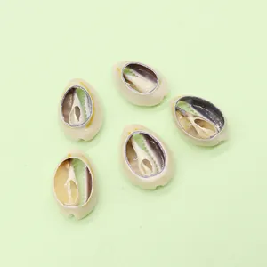 Five pieces of natural hollow cowrie shell pendants for DIY jewelry on green background