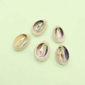 Natural hollowed cowrie shell pendants set with internal spiral structure for DIY jewelry