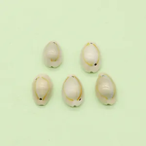 Five natural cowrie shell beads with yellow rings and side holes for DIY jewelry