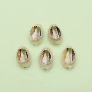 Natürliche Kauri-Muscheln mit Rückschnitt für DIY-Halsketten und Bastelzubehör