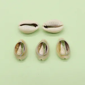Natürliche weiße hohle Kauri-Muschel-Anhänger 5er-Set für DIY-Schmuck Halsketten