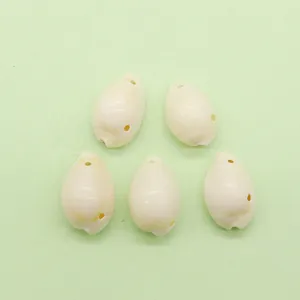 Set of 5 natural cream sea shell pendants with pre-drilled holes for DIY jewelry making