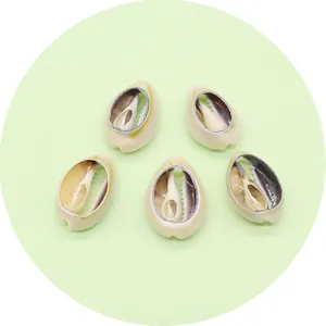 Five pieces of natural cream sea shell pendants for DIY necklace jewelry making