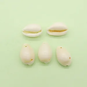 Five natural cowrie sea shells for jewelry making with pre-drilled holes for DIY necklaces