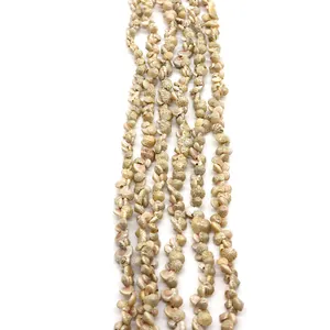 Natural Shell Beads Small Sea Snail Conch Spiral Loose Beads For DIY Necklace Bracelet Jewelry Making Accessories Hand Polished