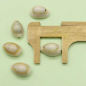 Λήψη macro από φυσικά κοχύλια cowrie με κίτρινους κύκλους και παχύμετρο στα 20mm