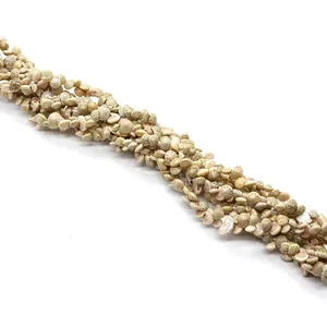 Natural small snail sea shell beads for DIY necklace and jewelry making crafts