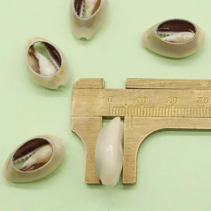 Nahaufnahme eines 16-18mm großen natürlichen Muschel-Anhängers für DIY-Schmuckherstellung