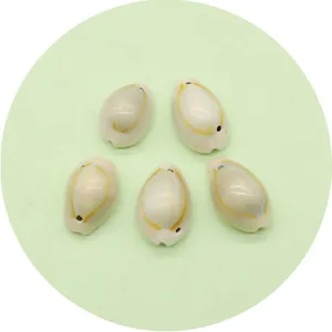 Set of five natural cowrie shells with gold plating and pre-drilled holes for DIY jewelry