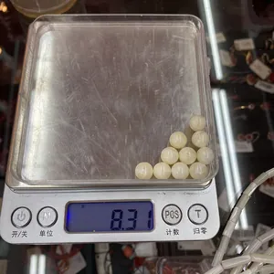 Makro-Detail von zehn runden cremefarbenen Muschelperlen auf einer Waage mit 8,31 g