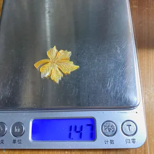 Κοντινό πλάνο κοχυλιού σε σχήμα φύλλου σε ψηφιακή ζυγαριά που ζυγίζει 1,47 γραμμάρια